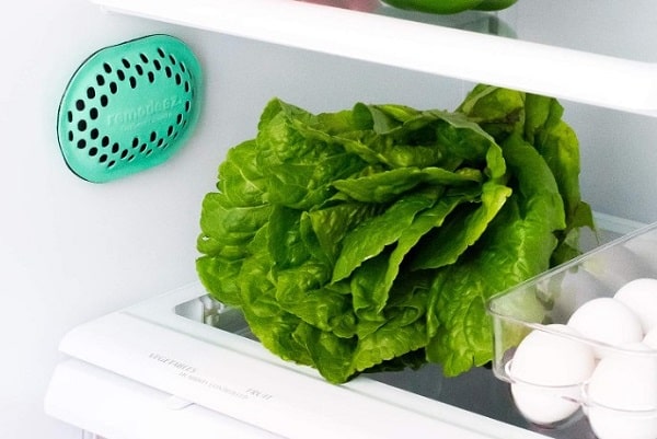 Fridge Smelling Fresh