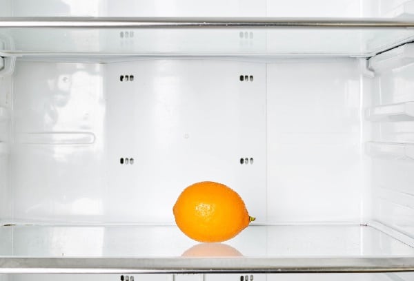 Fridge Smelling Fresh