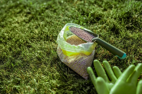 Your Yard