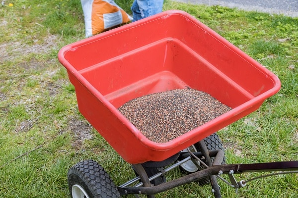 Your Yard