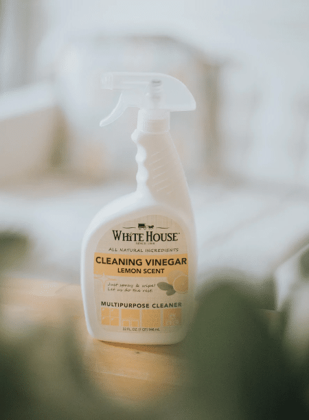 Green Cleaning Products