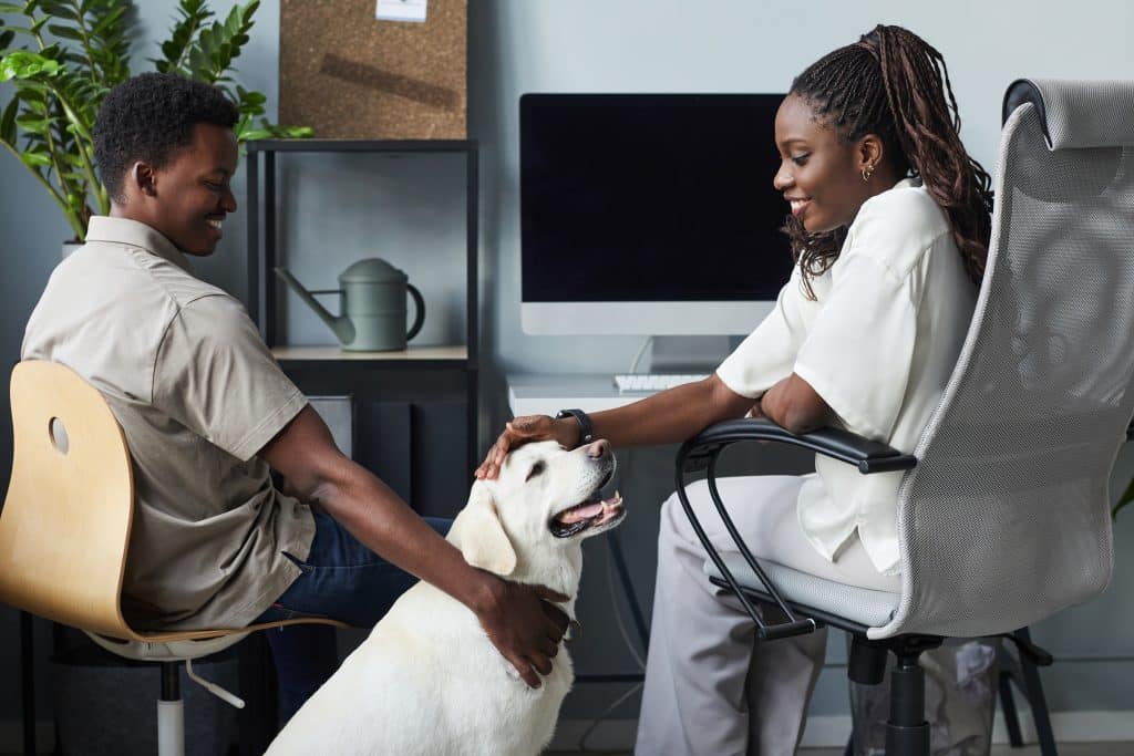 Pet-Friendly