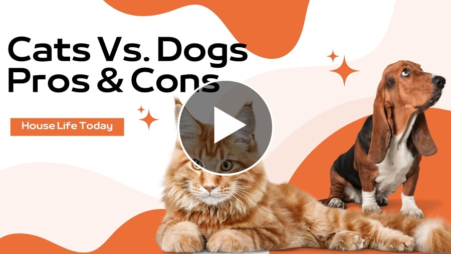 Cats Vs. Dogs