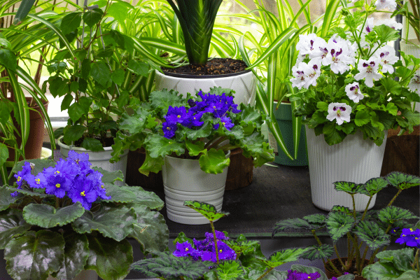Best Ways To Add A Pleasant Fragrance To Your Home
