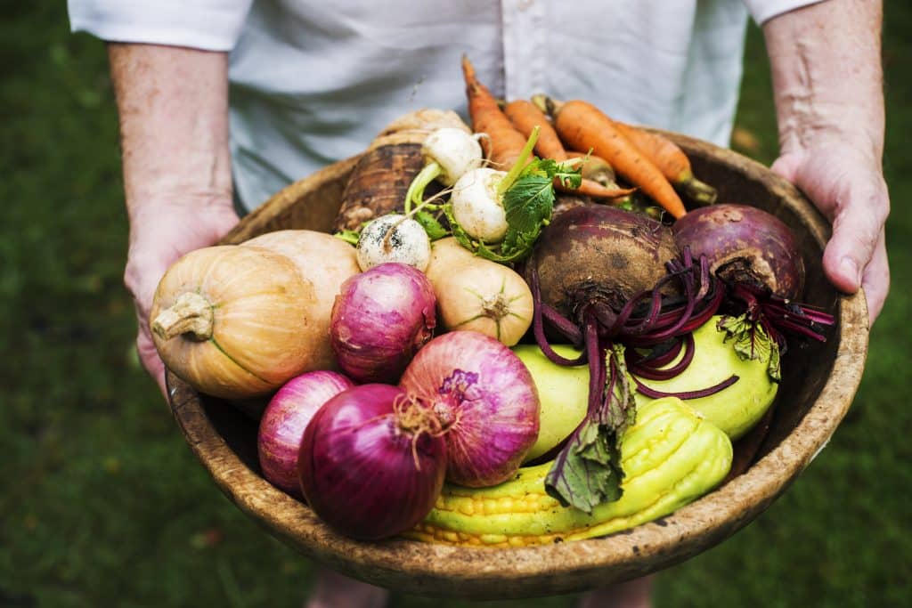 Growing Veggies