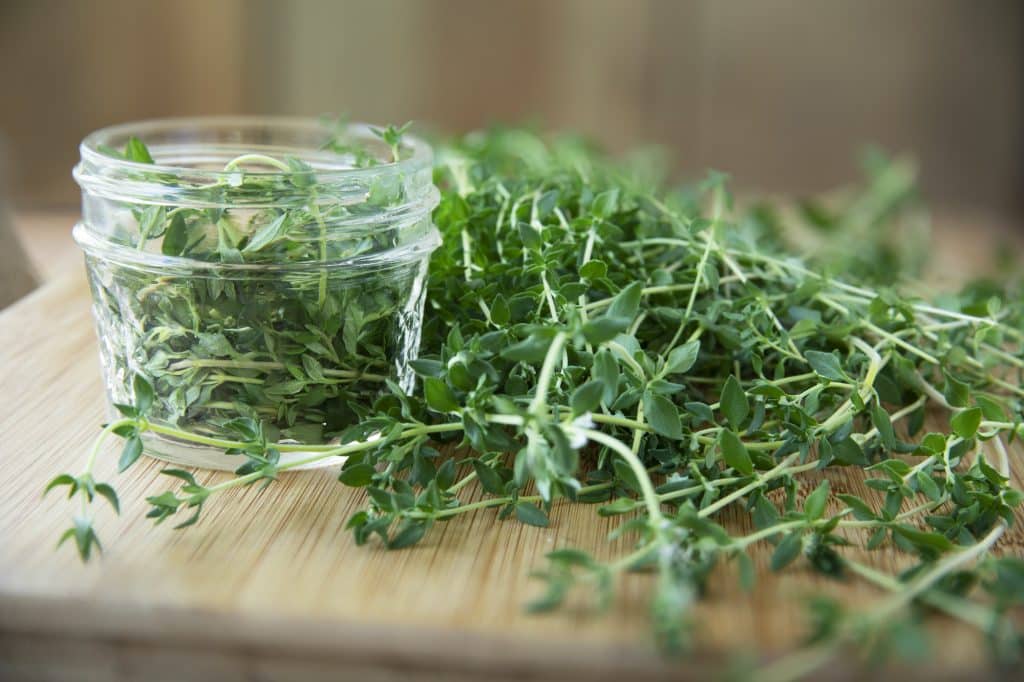 Garden Herbs