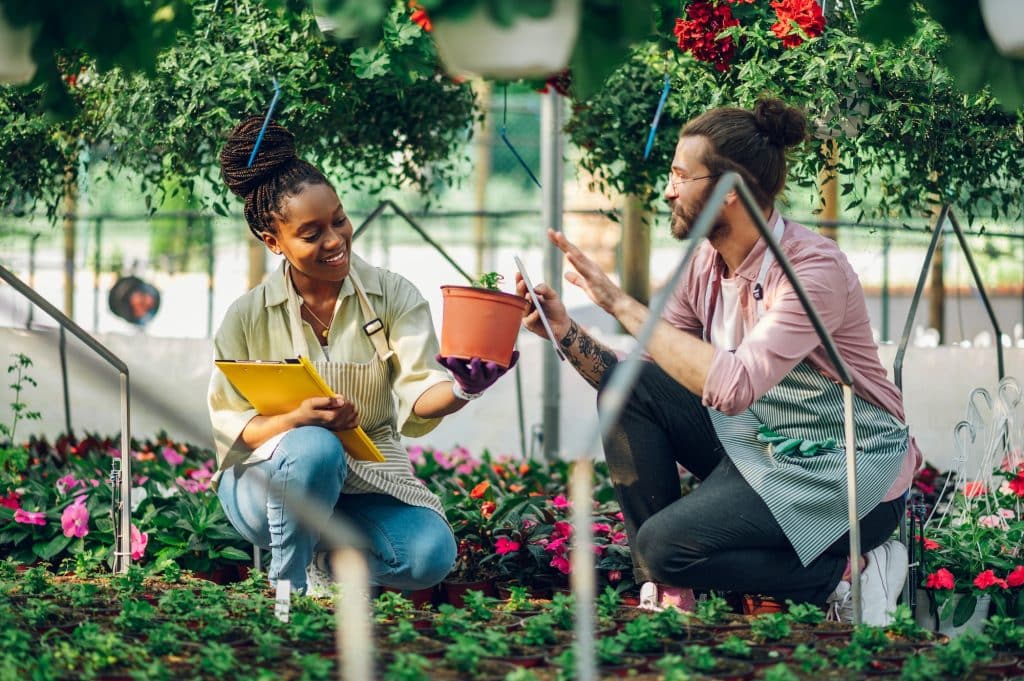 Hard To Kill Houseplants