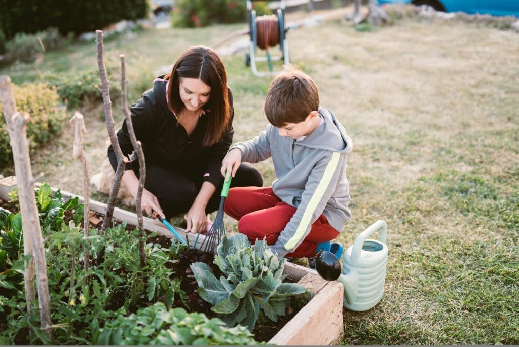 Growing Veggies