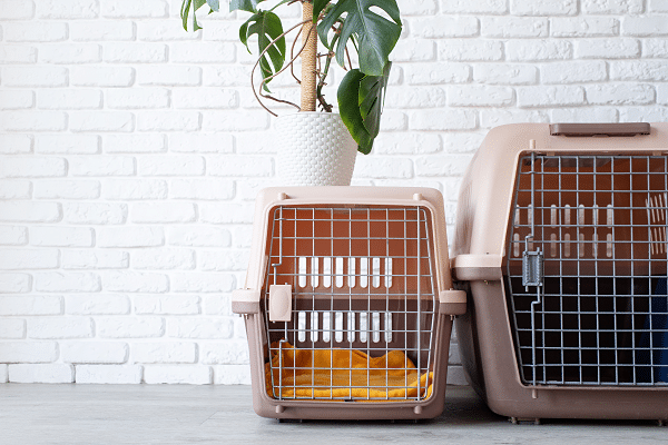 Crate Training Your Dog