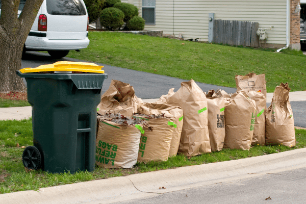 How To Deal With Leaves This Fall