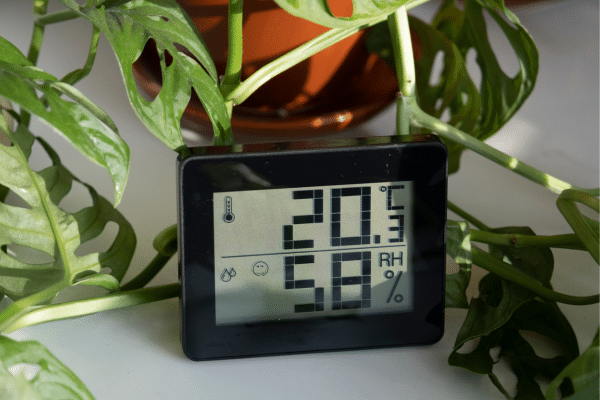 Indoor Gardening Tips And Tricks