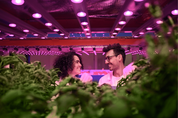 Grow Your Own Food Without A Backyard