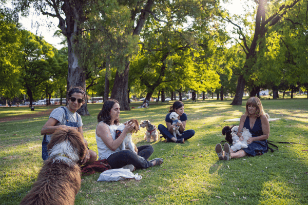 Health Benefits Of Owning A Pet