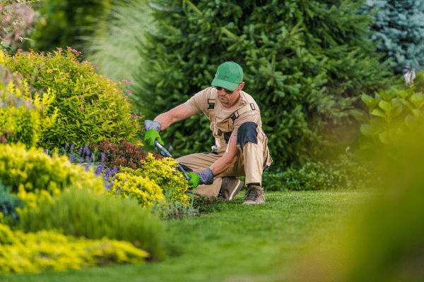 How To Prevent Bugs In Your House After Winter