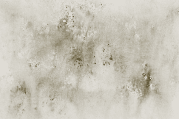 Effective Ways To Remove Wall Stains