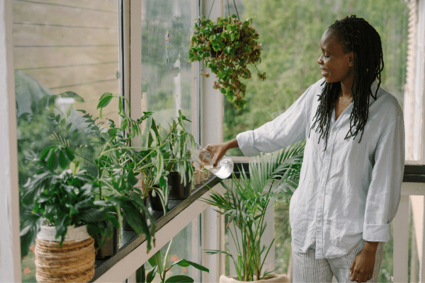 Indoor Gardening Tips And Tricks