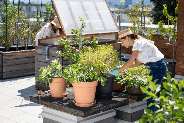 Grow Your Own Food Without A Backyard