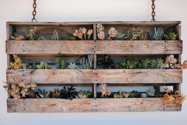 Grow Your Own Food Without A Backyard