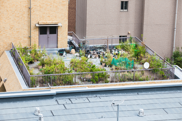 Grow Your Own Food Without A Backyard