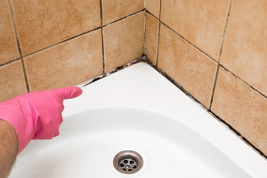 Tips For Tackling Shower Mold
