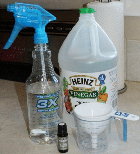 DIY Shower Cleaner Recipes To Know About