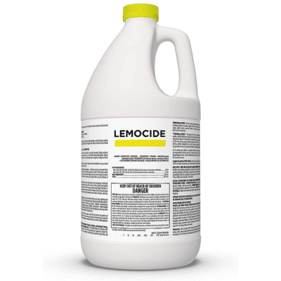 Products That Get Rid Of Mold