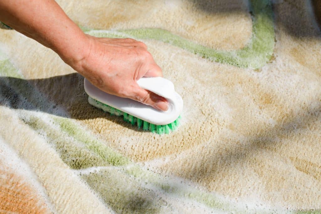 Deep Cleaning Carpets