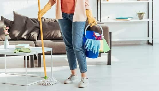 A Guide To Common Household Bugs And How To Evict Them