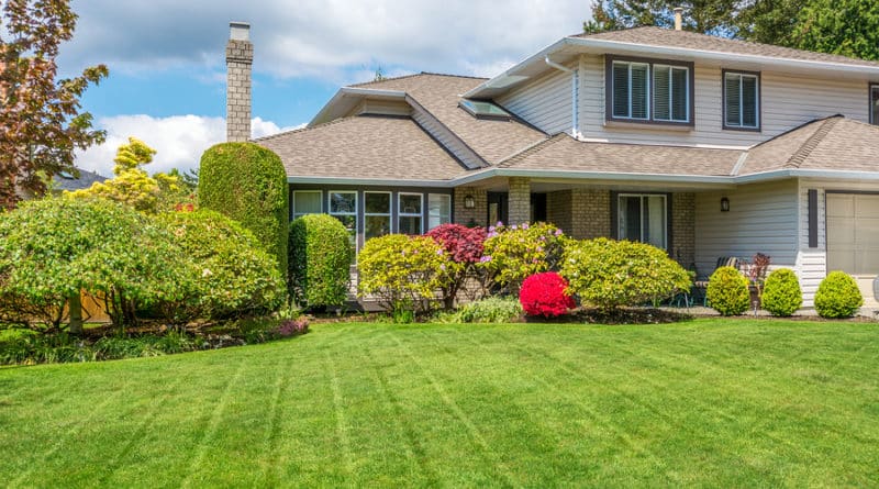 The Best Pruning Techniques For Trees