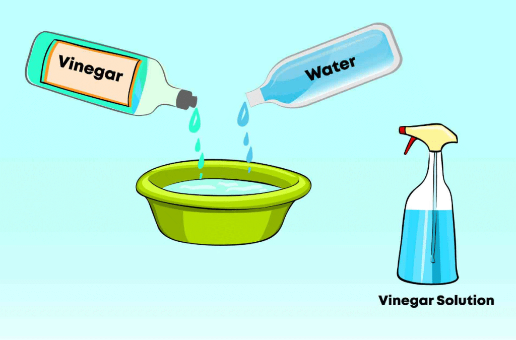 Best Organic Pest Control