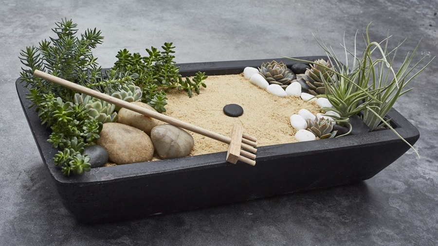 Create Your Own Zen: DIY Home Garden Guide