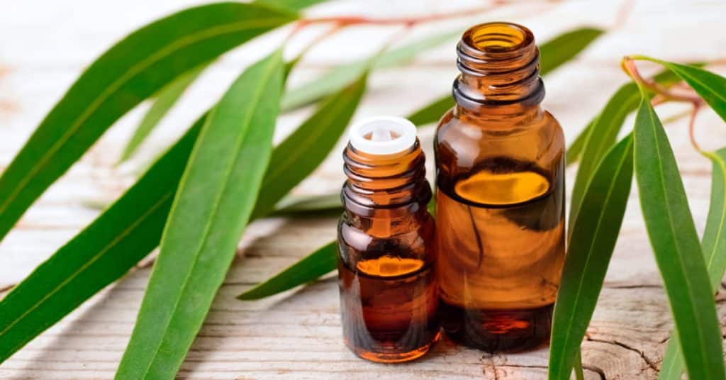 Essential Oils You Should Never Use in Your Home