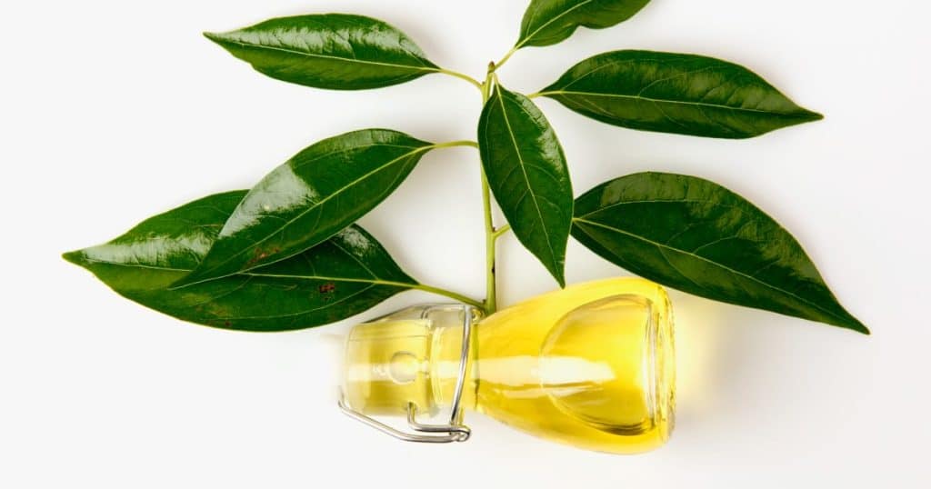 Essential Oils You Should Never Use in Your Home