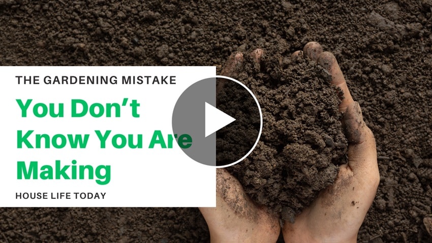 Gardening Mistake