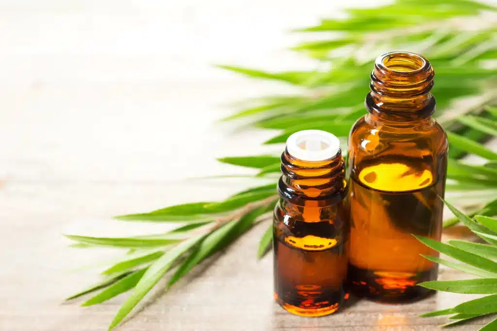 Essential Oils You Should Never Use in Your Home