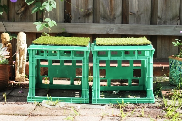 Discover the Hidden Gems: 10 Insane Home Hacks You Never Knew Existed!