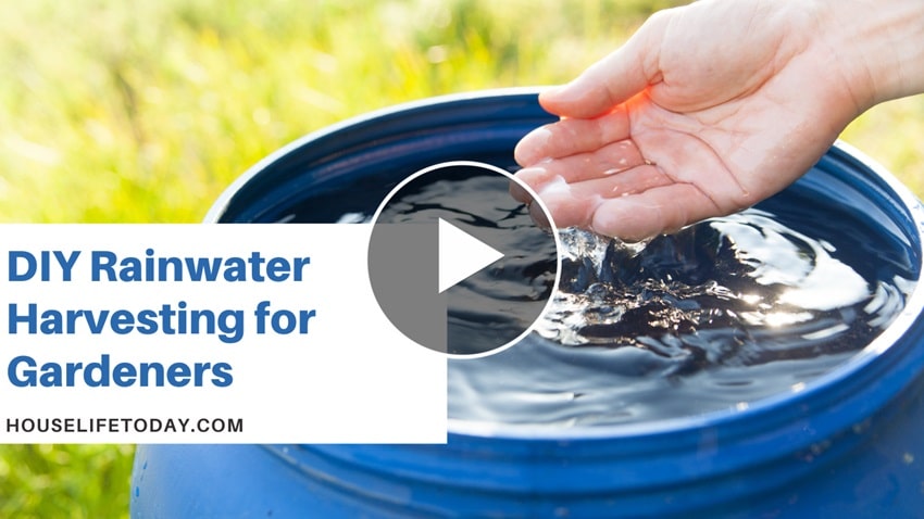 DIY Rainwater Harvesting
