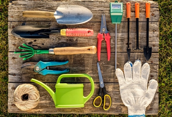 Start Your First Garden