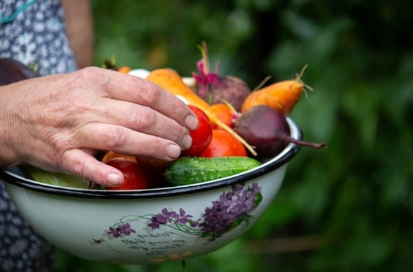 Start Your First Garden