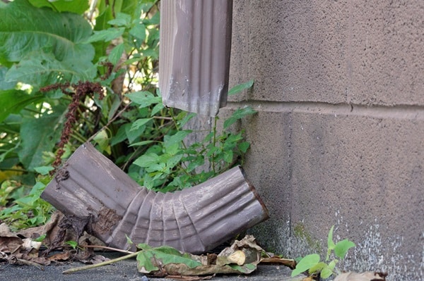 Immediate Roof Inspection