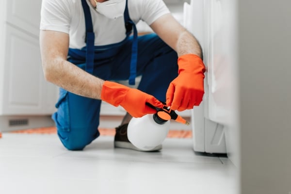 Prevent Rodent Infestations