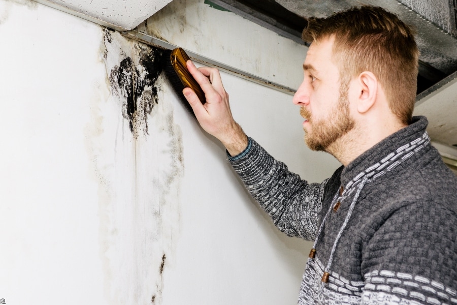 Hazards in Your Basement