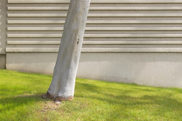 Signs Your Home Is on a Sinkhole